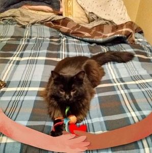 Meet your Posher, Kimberly